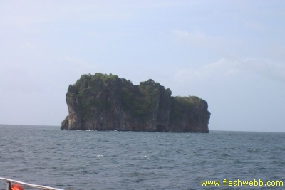 PICT1005.jpg