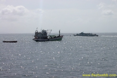 PICT1017.jpg