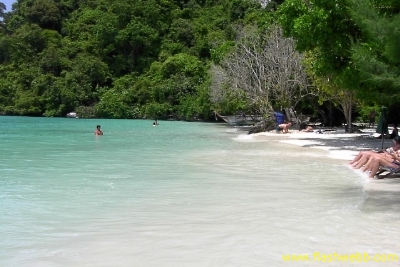 PICT1039.jpg