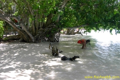 PICT1049.jpg