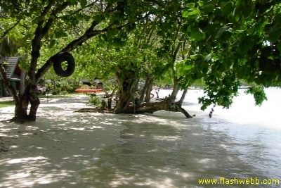 PICT1052.jpg