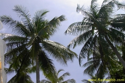 PICT1065.jpg