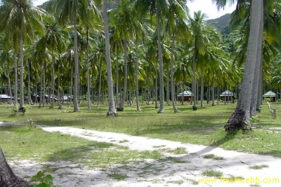 PICT1074.jpg