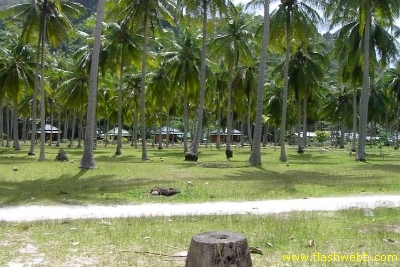 PICT1075.jpg