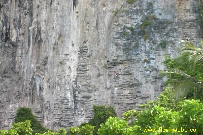 PICT1080.jpg