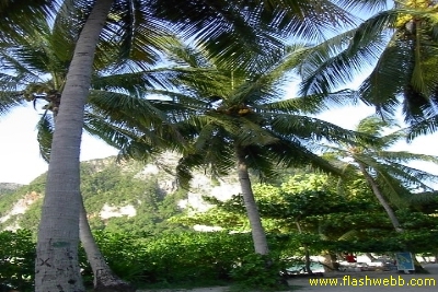 PICT1129.jpg