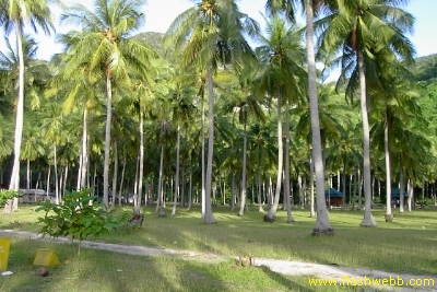PICT1135.jpg