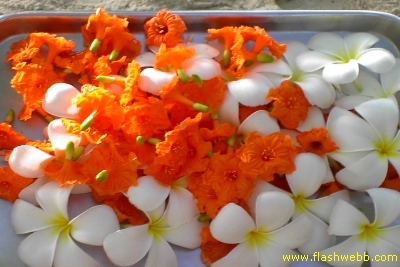 PICT1144.jpg