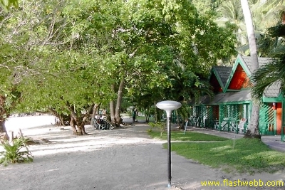 PICT1145.jpg