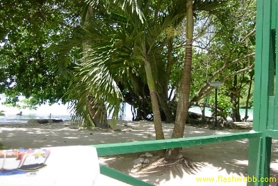 PICT1187.jpg
