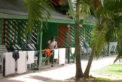 PICT1193.jpg