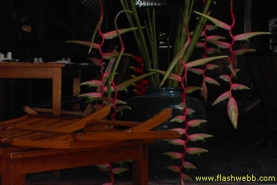 PICT1221.jpg