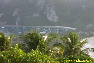 PICT1229.jpg