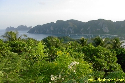 PICT1231.jpg