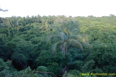 PICT1238.jpg