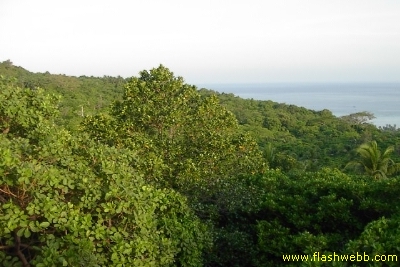PICT1241.jpg