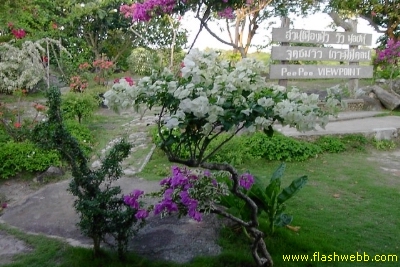 PICT1245.jpg