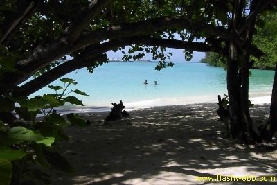 PICT1269.jpg