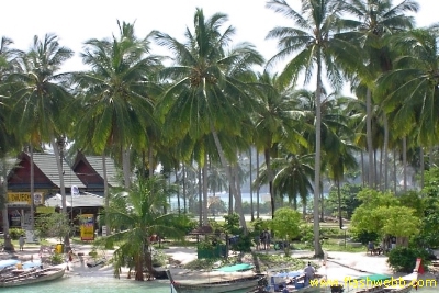 PICT1305.jpg