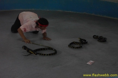 PICT1367.jpg