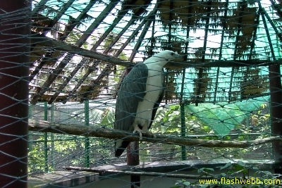 PICT1374.jpg
