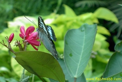 PICT1394.jpg
