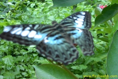 PICT1395.jpg