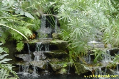 PICT1400.jpg