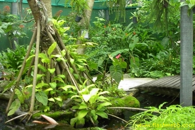 PICT1401.jpg