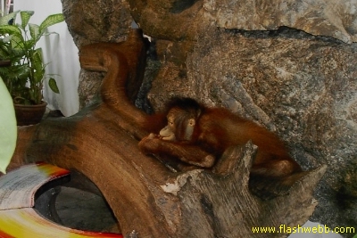 PICT1403.jpg