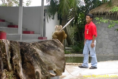 PICT1407.jpg