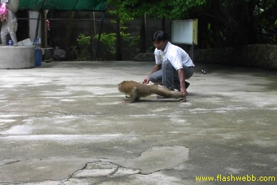 PICT1411.jpg