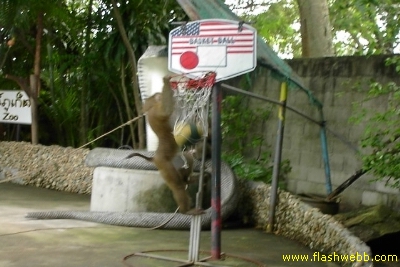 PICT1416.jpg