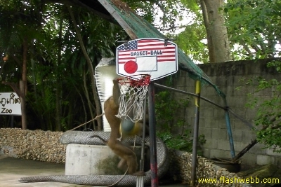 PICT1417.jpg