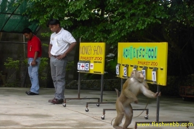 PICT1424.jpg