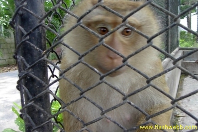 PICT1428.jpg
