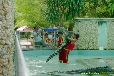 PICT1442.jpg