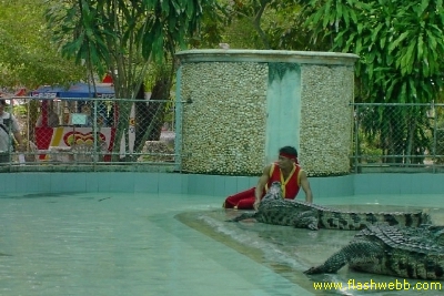 PICT1444.jpg