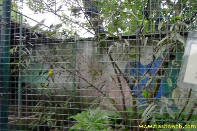 PICT1453.jpg