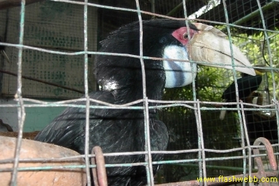 PICT1455.jpg