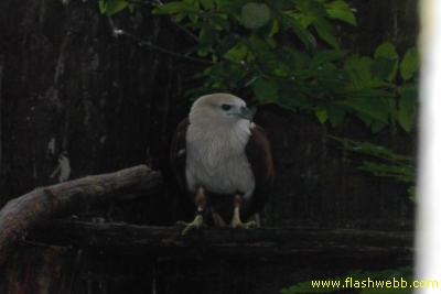 PICT1459.jpg