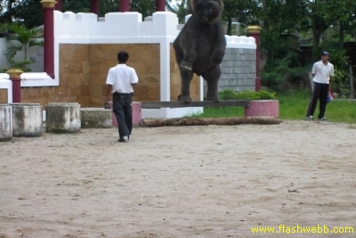 PICT1466.jpg
