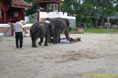 PICT1469.jpg