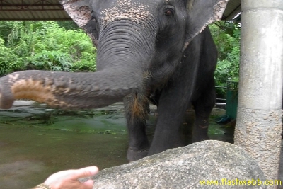 PICT1472.jpg