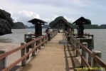 PICT0888.jpg