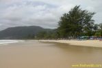 PICT0973.jpg
