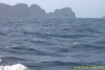 PICT1011.jpg