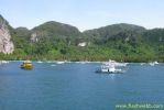 PICT1035.jpg
