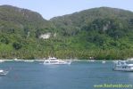 PICT1036.jpg