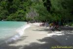 PICT1048.jpg
